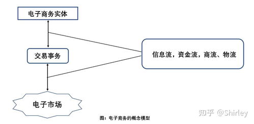 电子商务专业模型图